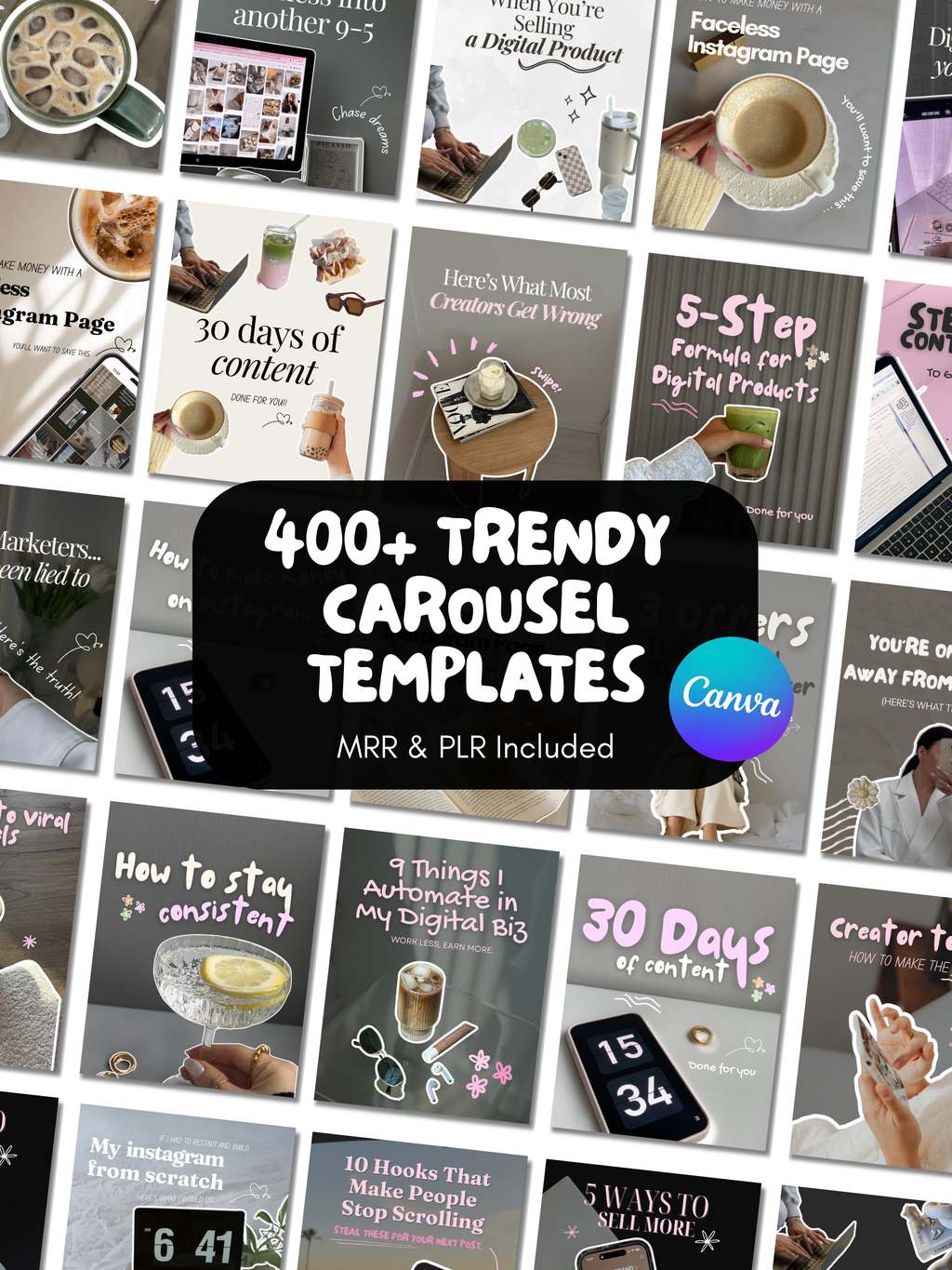 The Digital Income Vault: PLR BUNDLE