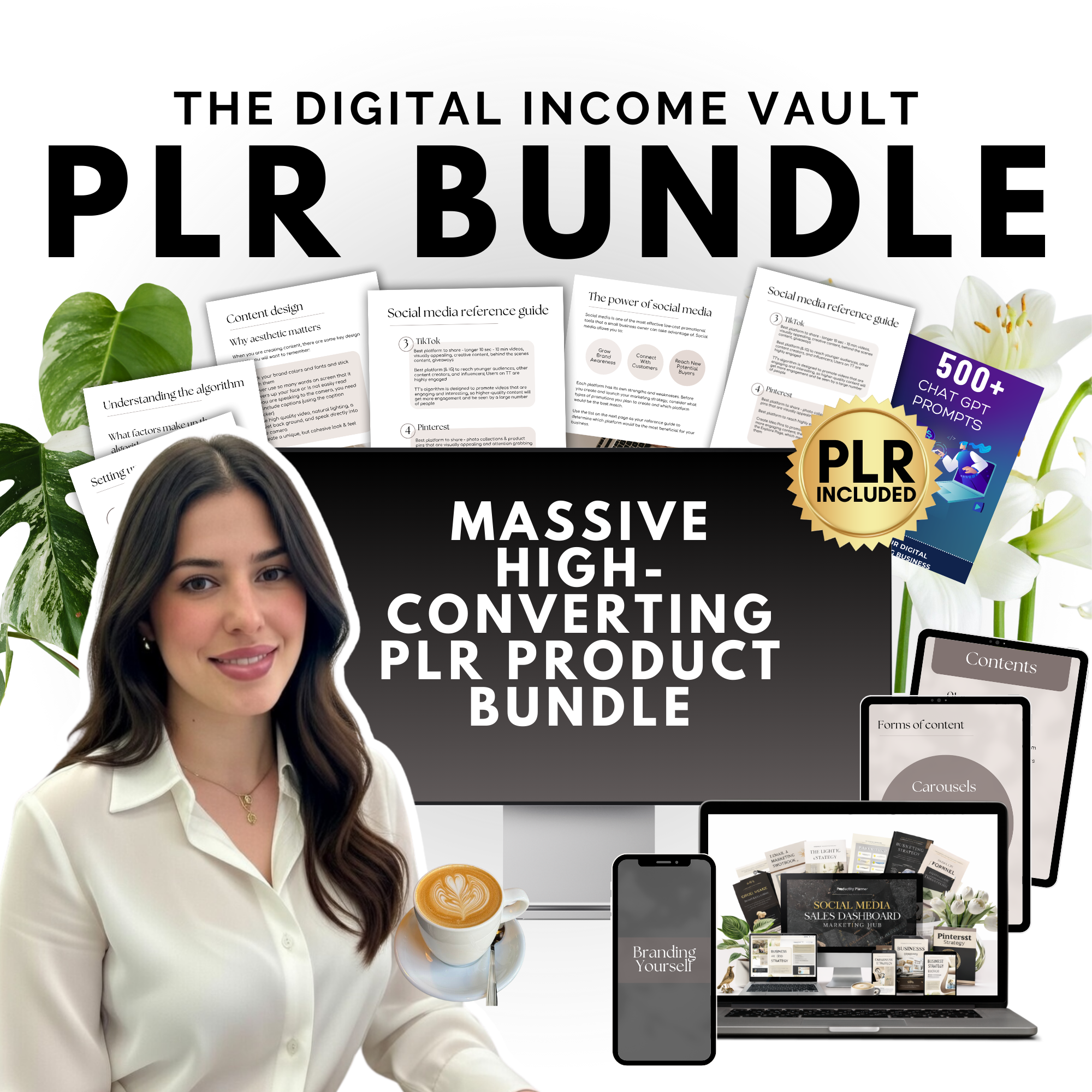 The Digital Income Vault: PLR BUNDLE